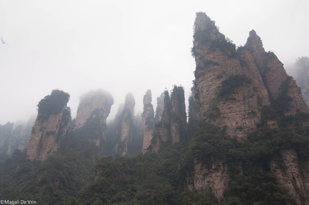 5496612893_96eaeab42c_o