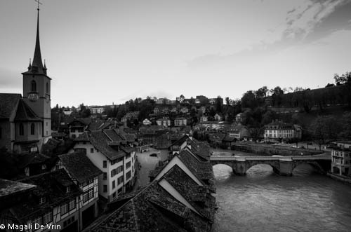 10817944293_b8840ddf31_o