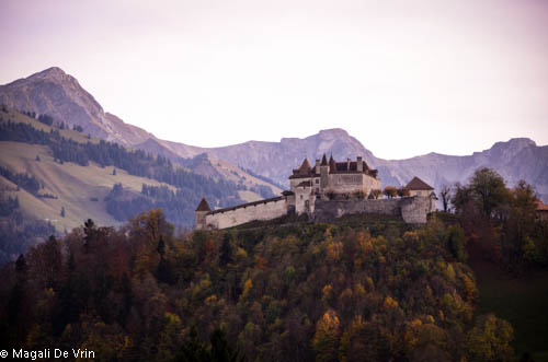 10817945773_a4d33e17f5_o